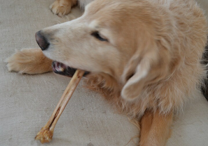 犬 おやつ 5本入り おすすめ おもちゃ ほね アレルギー オヤツ ガム トレーニング ペット ペットフード 中型犬 人気 国産 大型犬 歯磨き 無添加 犬用 犬留守番 硬い 長持ち 骨 鹿の足先骨乾燥タイプ 鹿肉 即納 鹿の足先骨乾燥タイプ 犬 おやつ 5本入り おすすめ おもちゃ ほね アレルギー オヤツ ガム トレーニング ペット ペットフード 中型犬 人気 国産 大型犬 歯磨き 無添加 犬用 犬留守番 硬い 長持ち 骨 鹿の足先骨乾燥タイプ 鹿肉 即納 鹿の足先骨乾燥タイプ