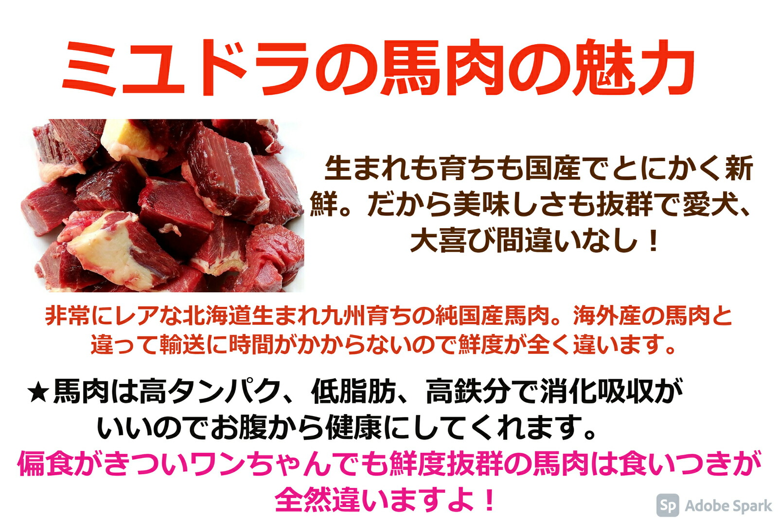 楽天市場 犬 生肉 国産馬肉ぶつ切り 1kg 犬 馬肉 生肉 小型犬 老犬 大型犬 フード ペットフード ペット ドッグフード おやつ 無添加 手作り食 ミユドラ ペット 馬肉 ダイエット 偏食 毛並み 鉄分 ローフード 九州産 馬肉 ドッグフード 犬 手作りご飯 犬のおやつ 生肉