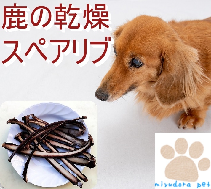 驚きの安さ 犬おやつ 国産黒毛和牛アキレス 自然乾燥 100g ienomat.com.br