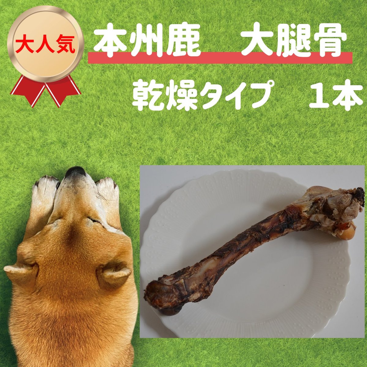 楽天市場 犬 おやつ 無添加 鹿の大腿骨乾燥タイプ 骨 おやつ 長持ち オヤツ 硬い 犬 留守番 歯磨き おもちゃ 国産 鹿肉 ガム ほね 大型犬 中型 犬 人気 おすすめ ミユドラ 専門店 通販 オモチャ 手作り プレゼント ジビエ 低カロリー 低アレルギー 犬のおやつ 生肉