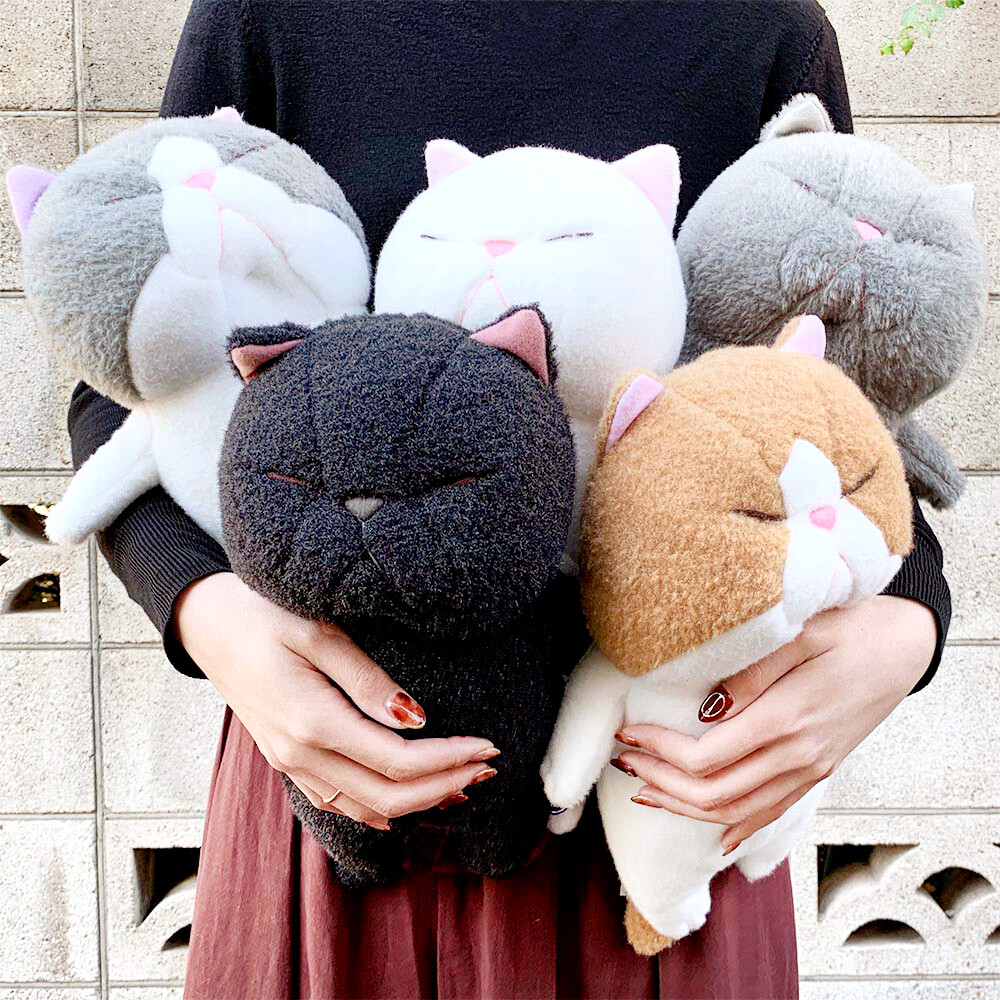 可愛い猫のぬいぐるみ 61AJmbmIP8L.jpg_BO30,255,255,