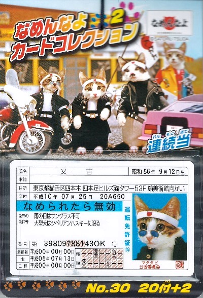 楽天市場 30 付 なめんなよ なめ猫 カードコレクション バージョン指定不可 キャラクター なめねこ なめ猫 免許証 15 1218 子供会 景品 お祭り くじ引き 縁日 フェスティバルプラザ