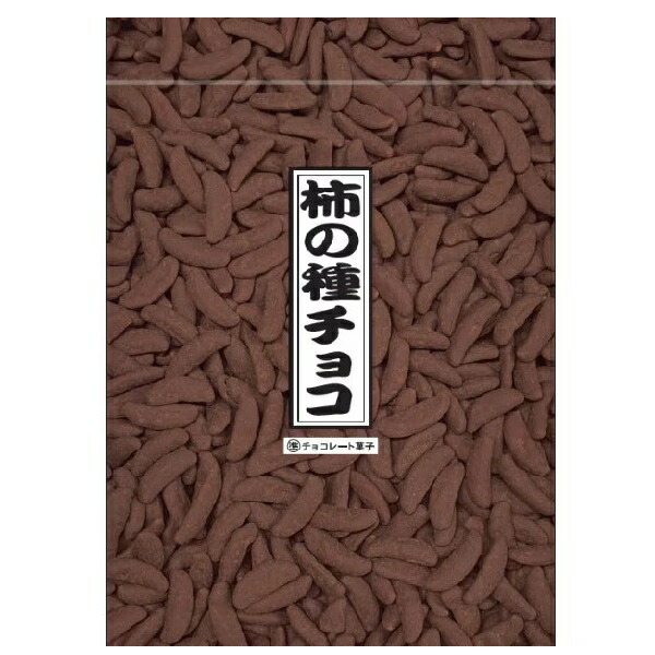 寺沢製菓 柿の種チョコ 240g×12袋 夏季クール便配送（別途500円～）