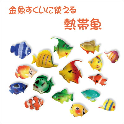 楽天市場 卸価格 金魚すくい等に使える 熱帯魚 １００個アソート お祭り 特価 みぞたオンラインストア楽天市場店