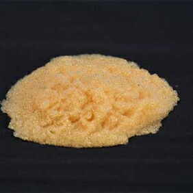 楽天市場 軟水用 陽イオン交換樹脂 新品 25l 1袋 C Na 軟水化フィルター ソフトウォーター 硬度 フィルター 軟水器 シャワーヘッド 軟水機 カルシウム マグネシウム シャワー 洗車 石鹸 ナトリウム 業務用 浄水 脱イオン水 ボイラー ペットボトル ミネラル カチオン 脱