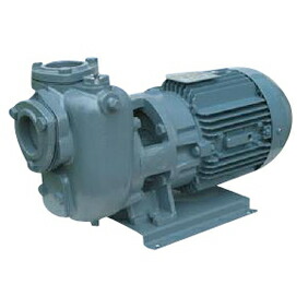 驚きの価格 ポンプ 荏原製作所 荏原ポンプ 多段渦巻ポンプ 縦型ポンプ 自吸式 加圧ポンプ 送水ポンプ 自吸式ポンプ うず巻ポンプ 多段ポンプ 自給式 給水ポンプ 揚水ポンプ 陸上ポンプ 自吸うず巻ポンプ 渦巻きポンプ 渦巻ポンプ 25sqgd6 4s 60hz 自吸ポンプ