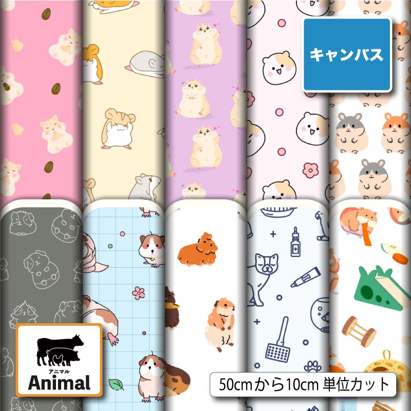 楽天市場】新入荷 コットン シーチング生地 布 nora ハムスターと
