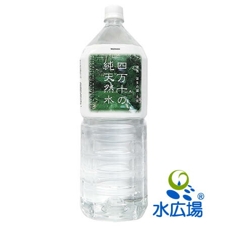 shimannto_450sdfw.jpg