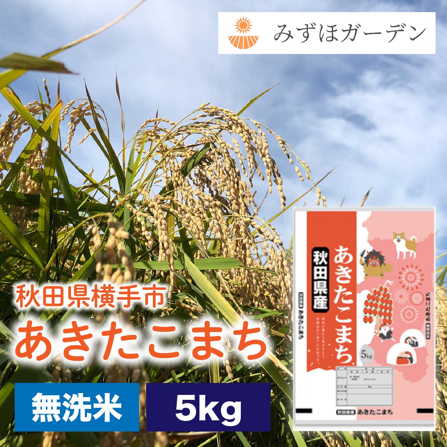 楽天市場】＜定期購入＞無洗米 あきたこまち 30kg×12回 令和5年産 送料