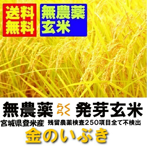 無農薬 無洗米タイプ らくらく発芽玄米 激安直営店 令和３年産 宮城県産金のいぶき ２ｋｇｘ４袋 四国 九州 最大70%OFFクーポン 中国 北海道〜近畿地方のみ送料無料 無洗米の玄米 沖縄地方は追加運賃