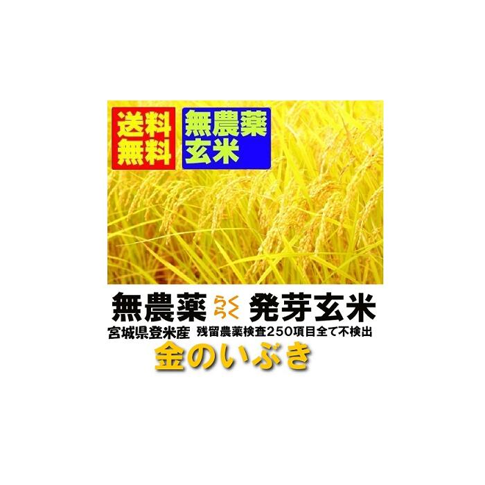 【無農薬　無洗米タイプ　らくらく発芽玄米】令和７年産　宮城県産金のいぶき　２ｋｇｘ４袋　【無洗米の玄米】【北海道～近畿地方のみ送料無料】【中国・四国・九州・沖縄地方は追加運賃】｜純米処　瑞穂の国