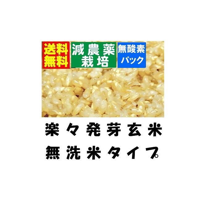 【減農薬　らくらく発芽玄米】 　令和７年産　減農薬　宮城県産金のいぶき使用　４．５ｋｇｘ２袋【無洗米の玄米】【北海道～近畿地方のみ送料無料】【中国・四国・九州・沖縄地方は追加運賃】｜純米処　瑞穂の国 7,336円