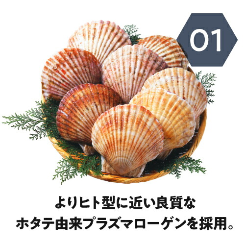 3個セット 高純度 プラズマローゲン 60粒 約30日分 国産ホタテ由来プラズマローゲン1 000 G含有 サプリメント オススメ Prescriptionpillsonline Is