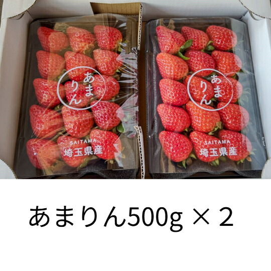 水野農園 埼玉県産 あまりん いちご500g×２ 家庭用