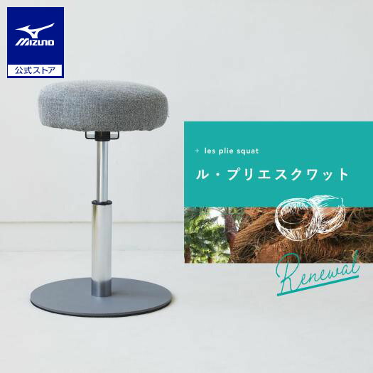 楽天市場】ミズノ MIZUNO エクササイズグッズ エクササイズチェア ル