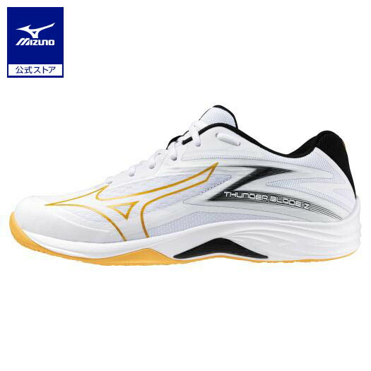 MIZUNO ミズノ ロイヤルフェニックス2 バレーボール 男女兼用