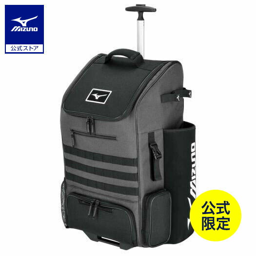プロ野球 　レア　記念バックル 楽天市場】ザナックス ベルト Xanax ベルトプロタイプキン