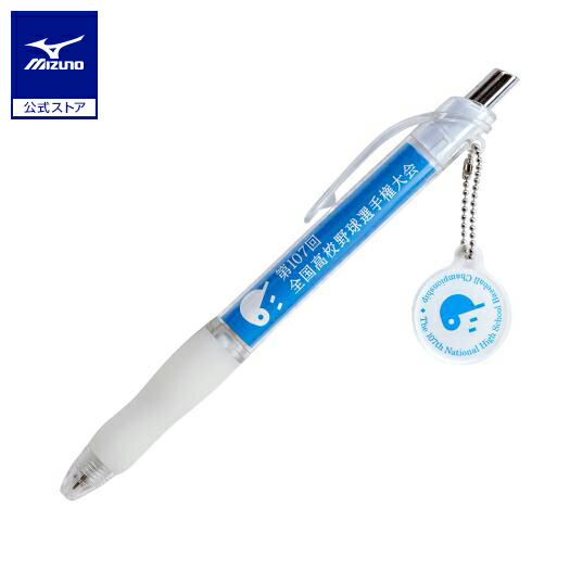 楽天市場】ミズノ公式高校野球オフィシャルグッズ フォトペナント 第