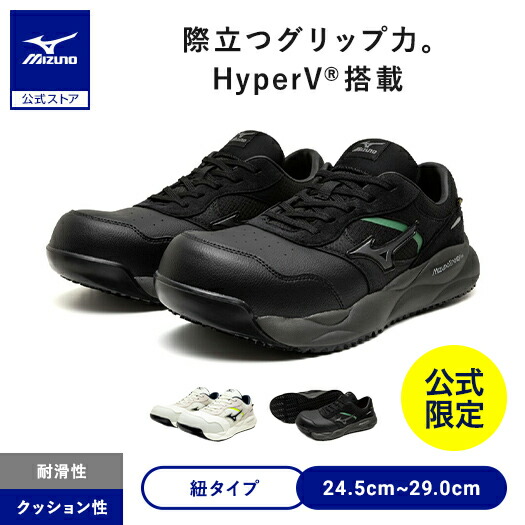 sh_f1ga269009.jpg