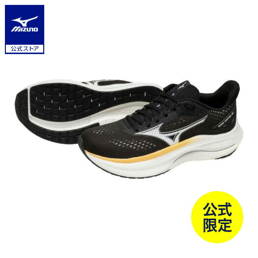 sh_j1gd264425.jpg