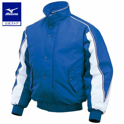 楽天市場】ミズノ公式 【発熱素材】＜ビクトリーステージ＞グラウンド