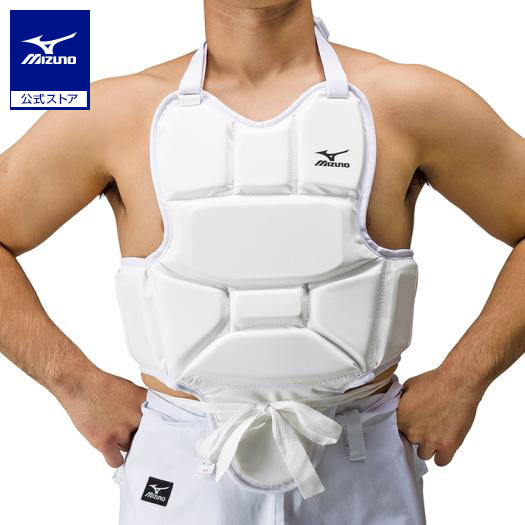 バラ売りします！空手 防具 プロテクター sh_23jha706.jpg