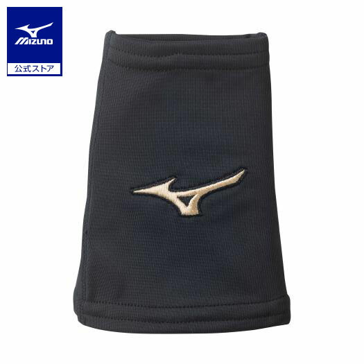 楽天市場】文字刺繍代金込み ミズノプロ MIZUNO PRO 野球 リスト