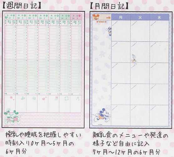 サンスター文具 育児ダイアリー 育児日記ディズニー B5 Dc Mm ミッキー ミニー スケッチ S お誕生から1歳までの成長日記ママのほしいを形にしました 毎日簡単に記録 写真がたくさん貼れる 専門ショップ