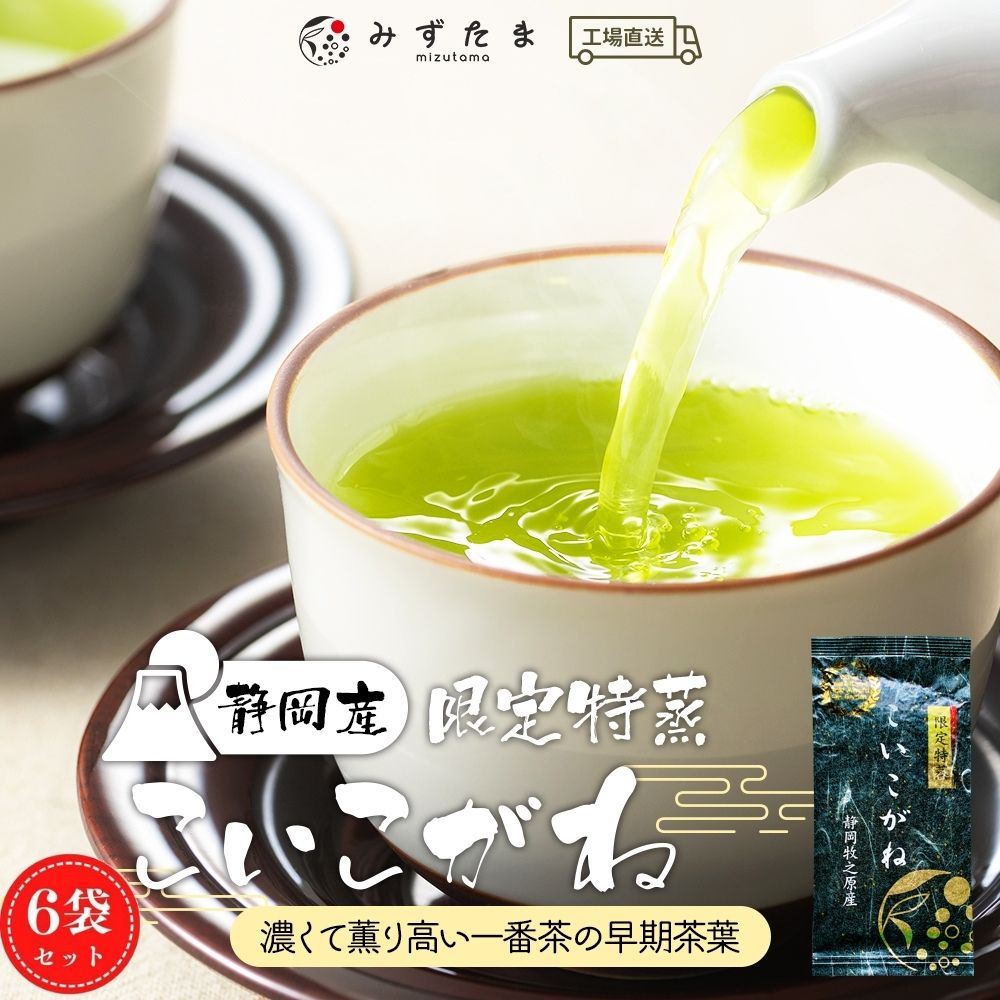 【6袋セット】限定特蒸 こいこがね 茶葉 100g みずたま農園製茶場 お茶 緑茶 煎茶 一番茶 国産 静岡 牧之原 日本茶 深蒸し茶 送料無料 メール便 高級茶｜みずたま農園製茶場