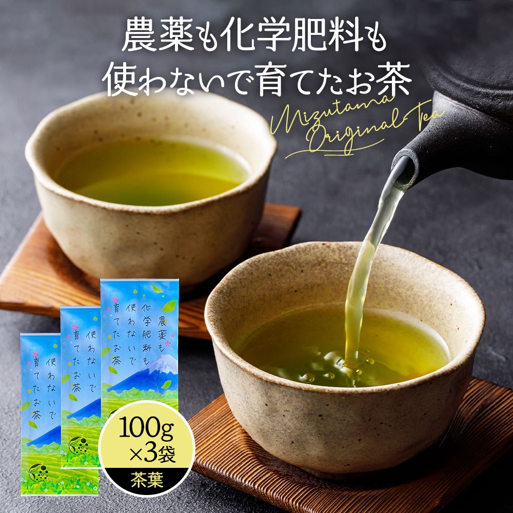 農家さん まかないのお茶200g13袋 日本茶緑茶煎茶 深蒸し茶 静岡茶 雅正庵 お茶 緑茶 静岡 茶 煎茶 深むし仕立て 300g 静岡県産 深