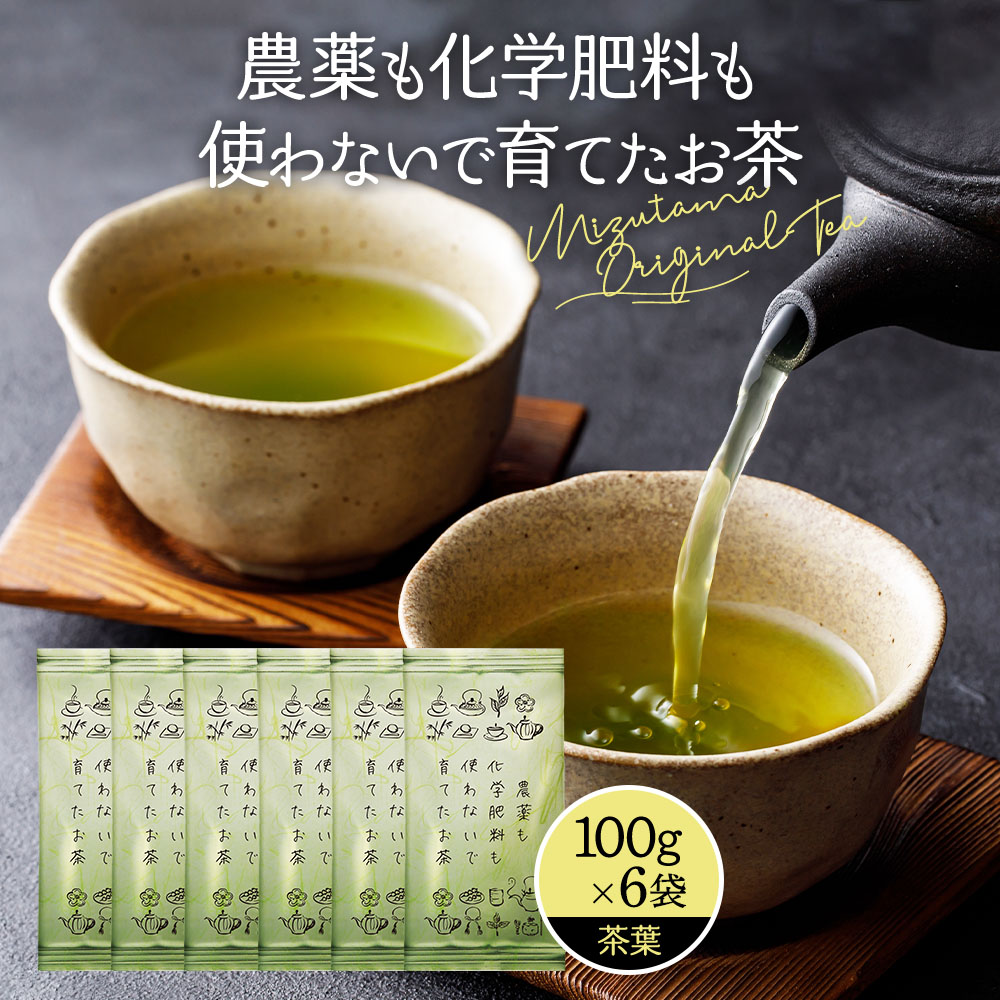 お茶 茶葉 【6袋セット】 農薬も化学肥料も使わないで育てたお茶 深蒸し茶 600g お茶 緑茶 煎茶 深蒸し茶 水出し 国産 静岡 牧之原 牧之原茶 大容量 冷茶