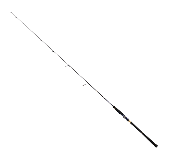 【大型商いもの（260大きさ）】【ダイワ】22 ソルティガ LJ 63XHS-S【4550133163838】
