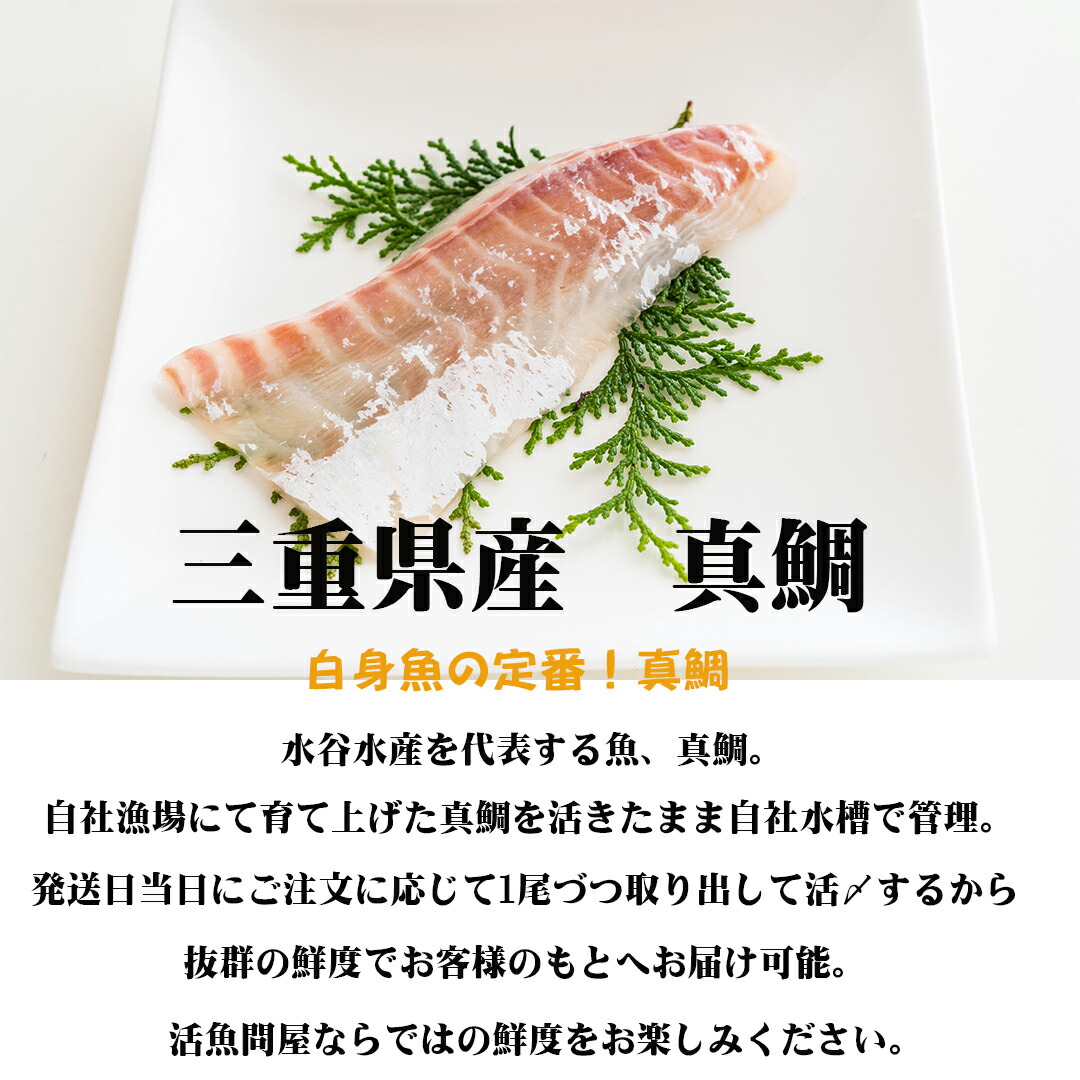 喜ばれる誕生日プレゼント 吾左衛門鮓 極上穴子 穴子 国産 ギフト プレゼント お誕生日 記念日 高級ギフト 1〜2人前 8〜10貫にカットできます  国産天然大穴子 高圧加熱で小骨まで柔らかい 母の日 母の日プレゼント