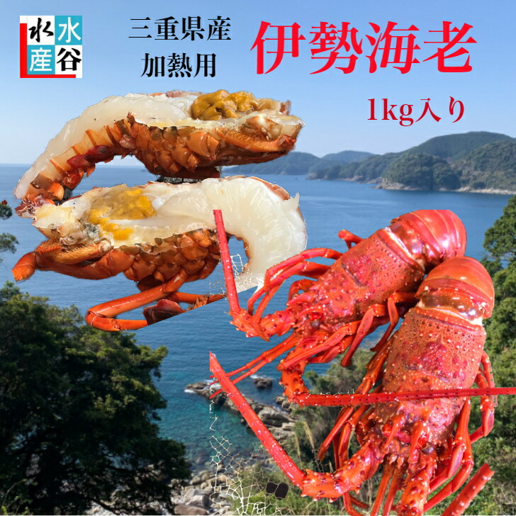 三重県産　加熱用冷凍伊勢海老　1kg入り　サイズいろいろ　お味噌汁　焼き物　バーベキュー　送料無料