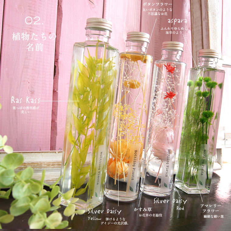 ハーバリウム 売り尽くしセール値下げ ボトル 植物標本 インテリア 雑貨 ドライフラワー Harbarium 瓶 風水 プレゼント 女性 母の日 ギフト プリザーブドフラワー ディスプレイ ブリック型 新生活 引越し祝い お見舞い 贈り物 おしゃれ Asuka Giosenglish Com