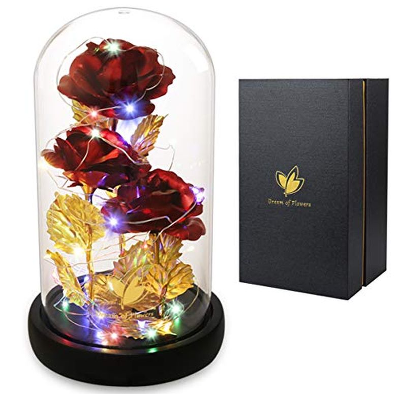 ガラスドーム 花 バラ ローズ Valentine's Day Rose Gift for Her, Birthday for Women Beauty and The Beast Rose 24K Red Rose in Glass Dome, Light Up Rose, Forever Artificial Flowers, Funny Gift for Mom Girlfriend W 【並行輸入品】|MJ-MARKET