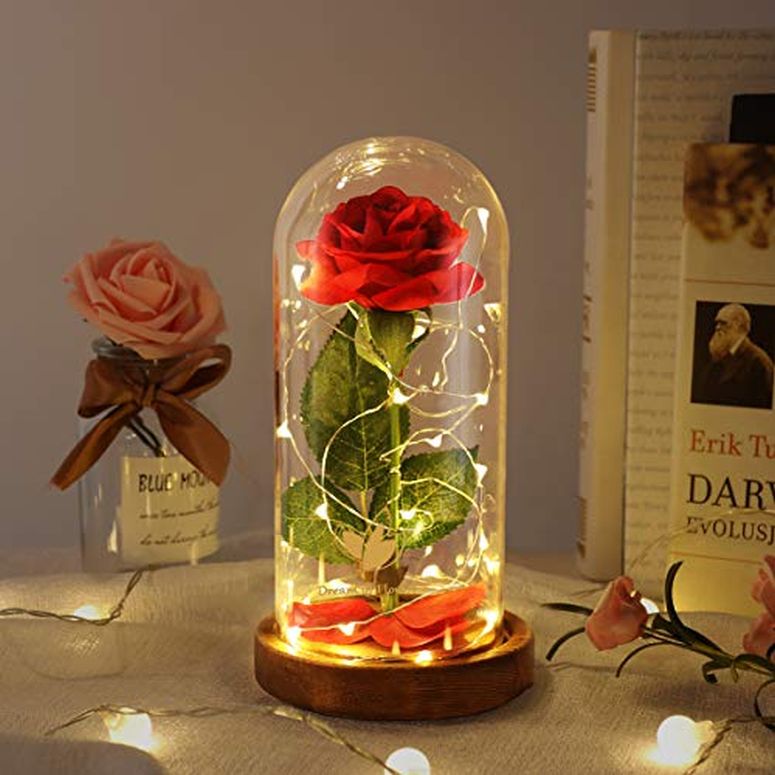 瑠璃学生寄宿舎 花 薔薇 サクラ色 Valentine\u0027s Day Gifts, Beauty and The Beast Rose, Dome Glass and Red Silk Rose, LED Light, Unique Gift Decoration, Gifts for Women, Suitable for Decoration インチ Bedroom, Dining Table a 【並行輸入品】 オルゴール-インテリア・寝具・収納