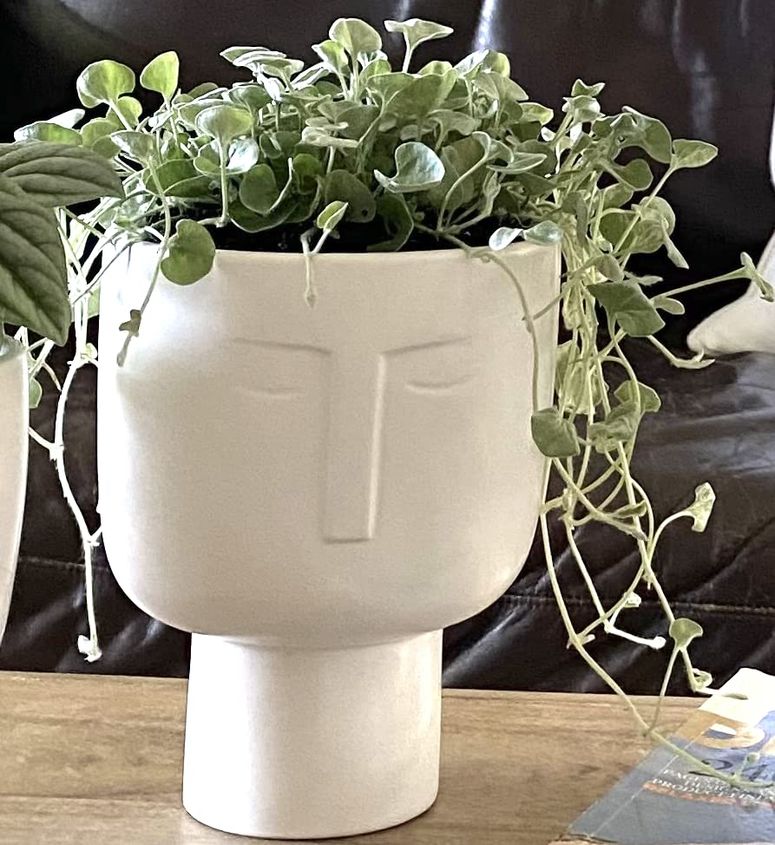 かわいい ユニーク 面白い 癒し プランター 植木鉢 鉢 Face Planters for Indoor Plants - Tall 7 Inch Ceramic Self Watering Pots Matte White Plant Pot with Drainage & Inner Pot. Face Vase Or Head Planter. Unique Face Pots for Plants. Me 【並行輸入品】｜MJ-MARKET