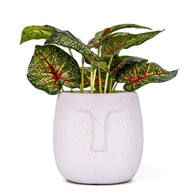 Supreme 22SS Poggi Ugo Small Planter 植木鉢 Spring/Summer 2022 Preview – Supreme