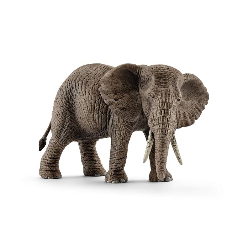 シュライヒ 毛の荒物 恐竜 手あそび Schleich African Elephant 2024 【並行輸入品】
