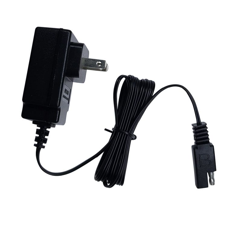アナと雪の女王 アナ エルサ Ride On Raplacement 6V 0.5A Battery Charger for Kid Trax 6 Volt Ride On Power Car Wheels Disney Frozen Car MC Queen Rusty Disney Ride-On 【並行輸入品】