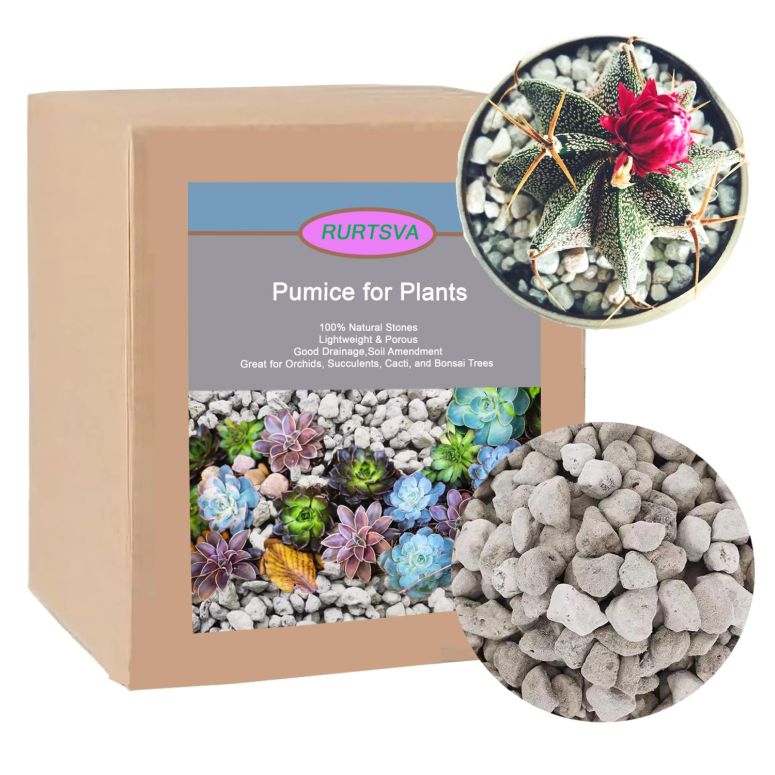 敷石 飛び石 庭園 洋風 庭 Horticultural Pumice for Plants 5QT, Natural Organic Pumice Stones for Succulent Cactus Bonsai Tree Orchid Potting Mixed, Improves Soil Aeration and Drainage, Promotes Root 【並行輸入品】|MJ-MARKET