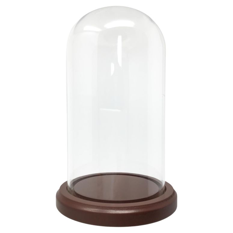 装飾 置物 雑貨 海外 BANBERRY DESIGNS Clear Glass Dome with Wood Base - Measures 7" H X 3 3/4" W - Figurines Dolls Collectibles - Wooden Base is 5" W 【並行輸入品】|MJ-MARKET