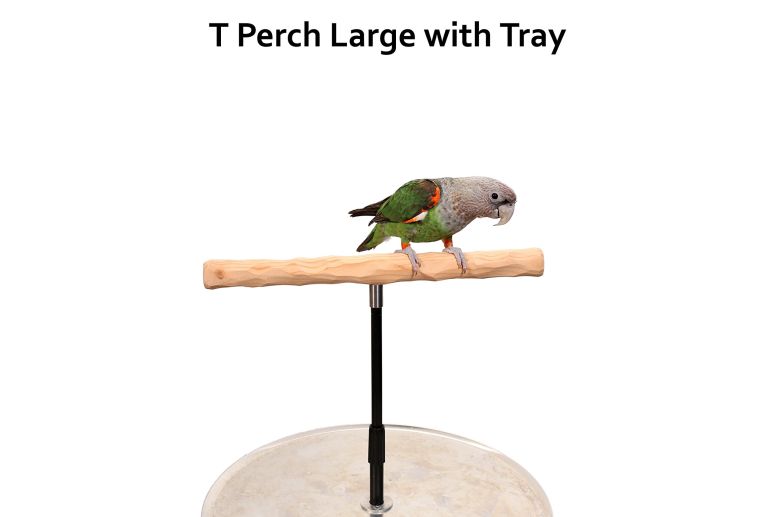 楽天市場 オウム オープン 止まり木 インコ とまり木 小鳥 バード Tスタンド 小さなコンゴウインコ Parrot Training Perch Stand With Potty Tray Large T Perch 並行輸入品 Mj Market