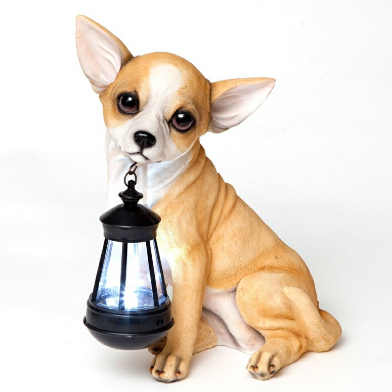 LEDソーラーライト ソーラーパワー ガーデンライト Bits and Pieces - Chihuahua Solar Lantern Statue - Solar Powered Garden Lantern - Resin Dog Sculpture with LED Light - Outdoor Lighting and Decor 【並行輸入品】