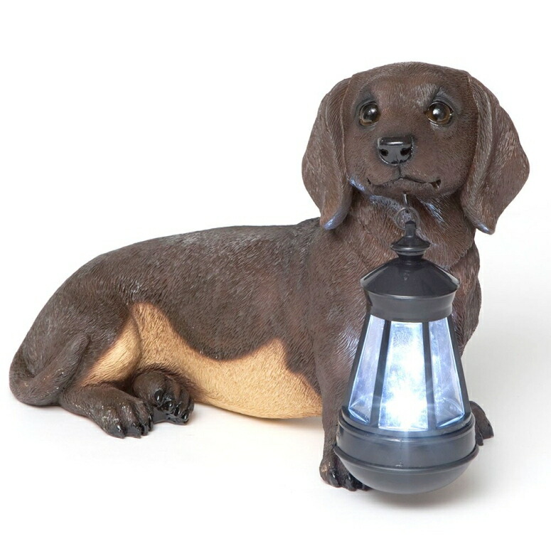 LEDソーラーライト ソーラーパワー ガーデンライト 犬 Bits and Pieces - Dachshund Solar Lantern Statue - Solar Powered Garden Lantern - Resin Dog Sculpture with LED Light - Outdoor Lighting and D?cor 【並行輸入品】｜MJ-MARKET