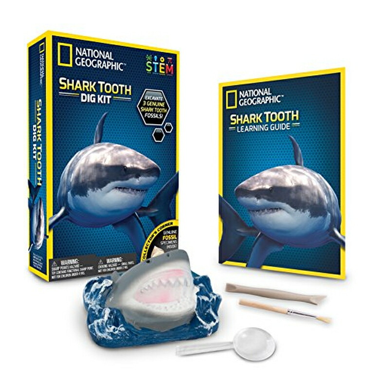 ナショナルジオグラフィック サメの歯 おもちゃ National Geographic 80473 Shark Teeth Dig Kit 【並行輸入品】