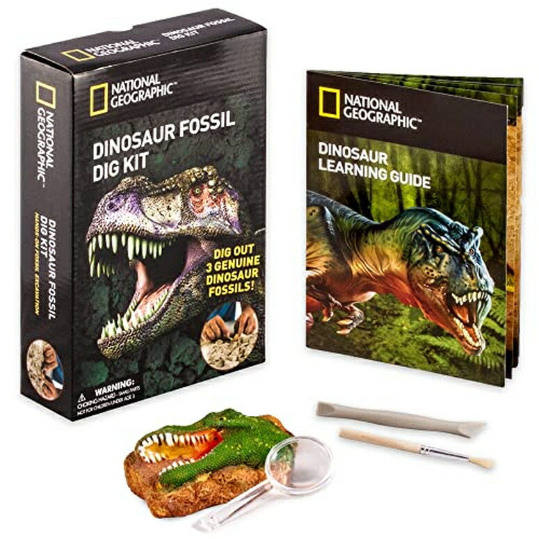 ナショナルジオグラフィック 恐竜骨化発掘作業一揃いの道具 12 Pack: National Geographic? Dinosaur Fossil Dig Kit 【並行輸入品】