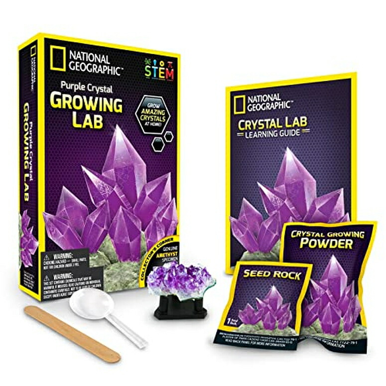 ナショナルジオグラフィック 紫石英育みそだてる科学研究所 12 Pack: National Geographic? Purple Crystal Growing Lab 【並行輸入品】