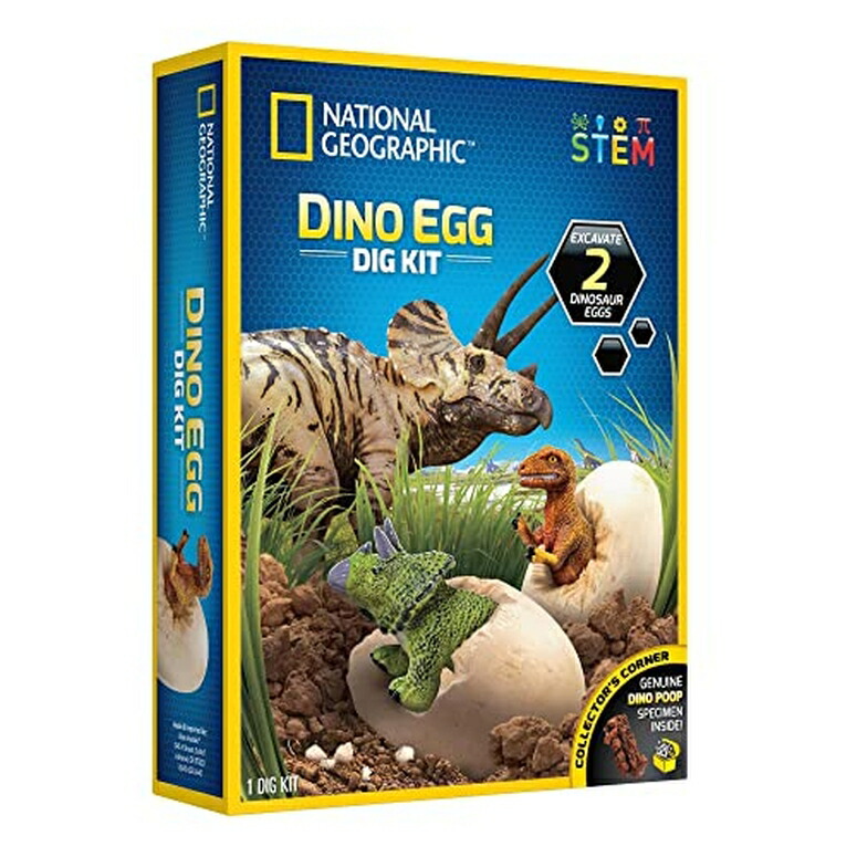 ナショナルジオグラフィック 恐竜の卵掘り 手あそび 12 Pack: National Geographic? Dino Egg Dig Kit 【並行輸入品】